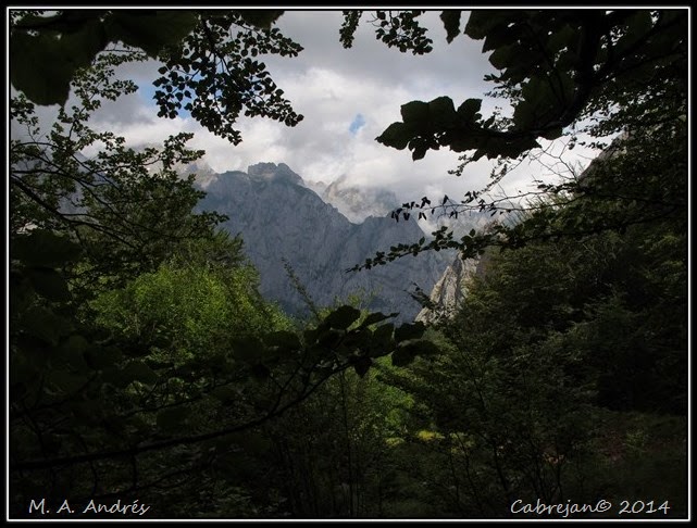 Picos 031 Picos 031