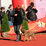 Abi - IMG_6642mn.jpg