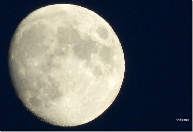 Mond ist aufgegangen 2014-11-04 066 Mond ist aufgegangen 2014-11-04 066