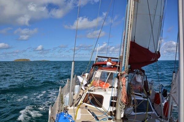 DSC_3563.JPG DSC 3563