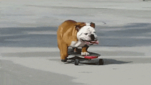 clip_image004 clip_image004