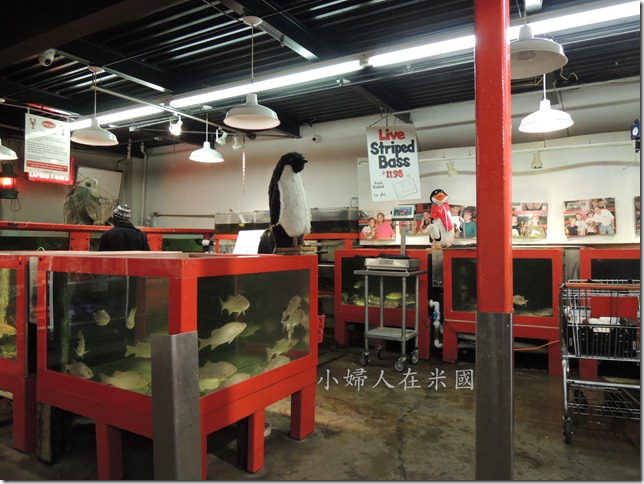 DSCN1166- DSCN1166-