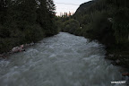 Wild stream