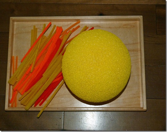 Styrofoam Sun Tray 1