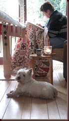 IMG_2420 IMG_2420
