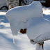 2011-12 First Winter Storm 1006.jpg