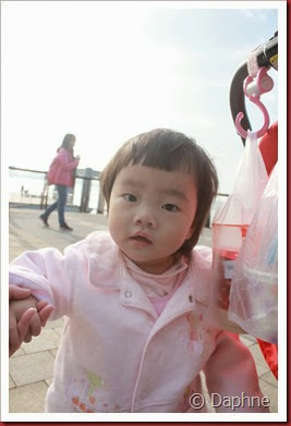IMG_6752 IMG_6752