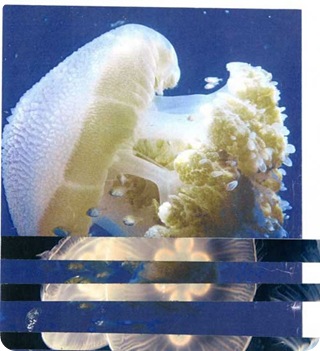 jelly moodboard