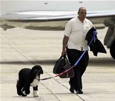 [dog%2520walker%2520copy%255B4%255D.jpg]