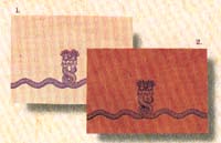 Naag Card