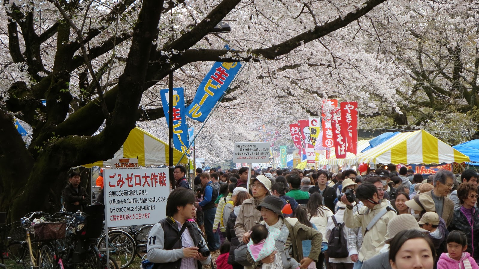 [IMG_0929%255B6%255D.jpg]