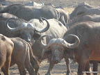 South Luanga Nationalpark
