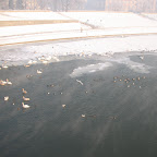 Zima 004.jpg