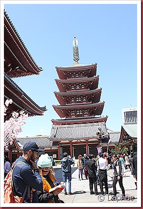 IMG_2961 IMG_2961