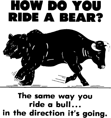 How do you ride a bear market