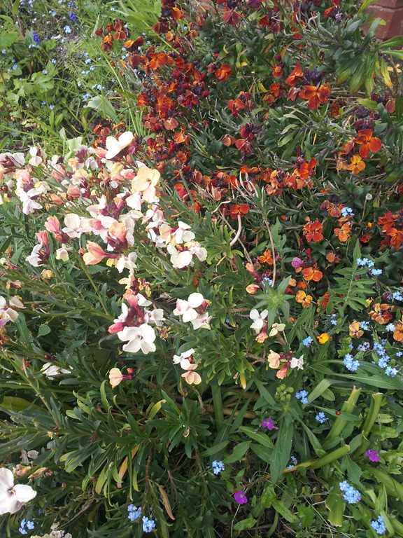 [garden%2520006%255B3%255D.jpg]