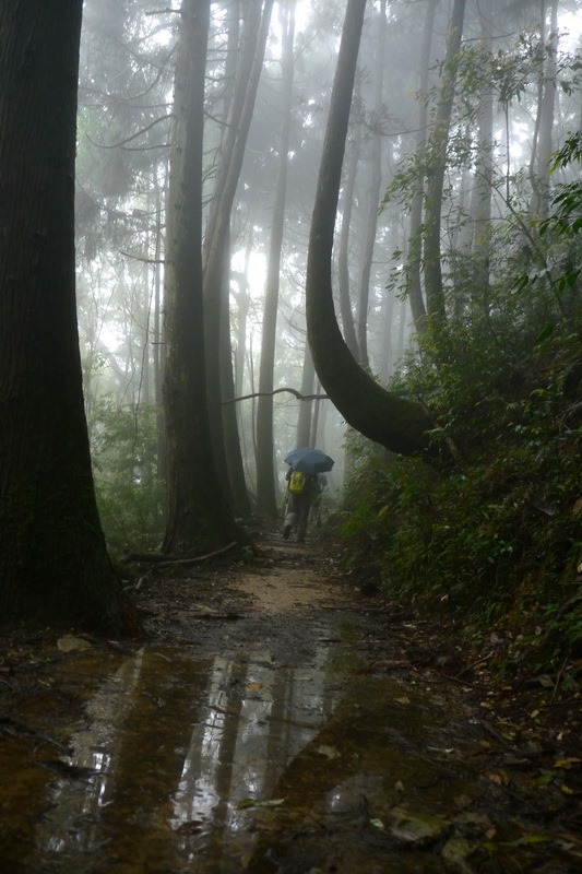 2013_0413 橫嶺山木馬古道_027 2013_0413 橫嶺山木馬古道_027