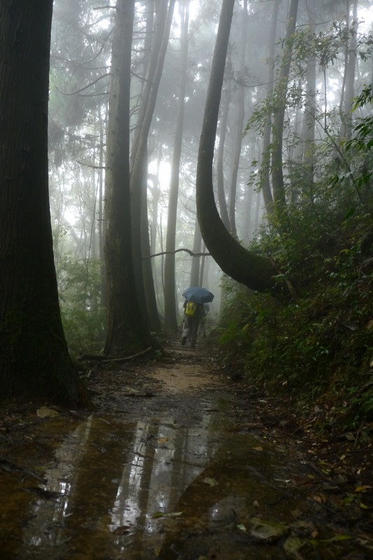 2013_0413 橫嶺山木馬古道_027