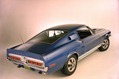Shelby-Caroll-45