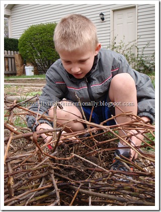 How to Build an American Early Settler Wattle & Daub House for Homeschool Kids How to Build an American Early Settler Wattle & Daub House for Homeschool Kids