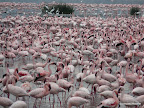 Nakuru Nationalpark