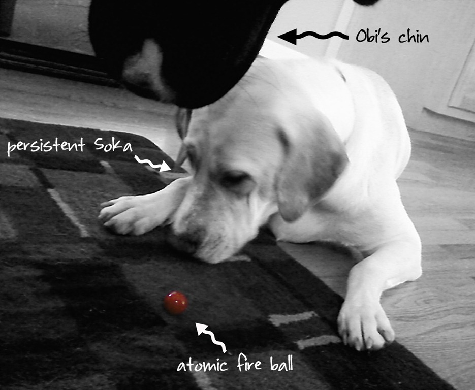 [fireballpuppies%255B4%255D.jpg]