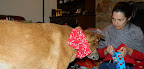 DSCN5787.JPG
