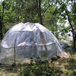 PICT0010.JPG