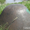 dsc06847.jpg
