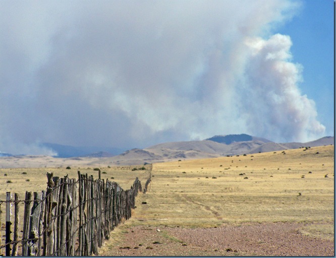 best fence smoke