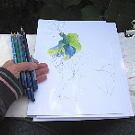 vegie_artworks_10 - 052.jpg