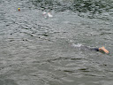 IMG_4424.JPG