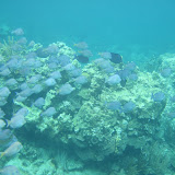 IMG_0610.JPG