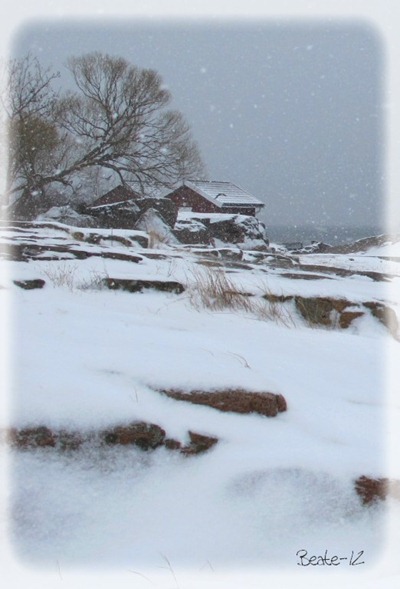 IMG_3908 IMG_3908