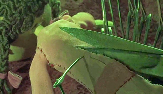 Coraline Illuminati 3