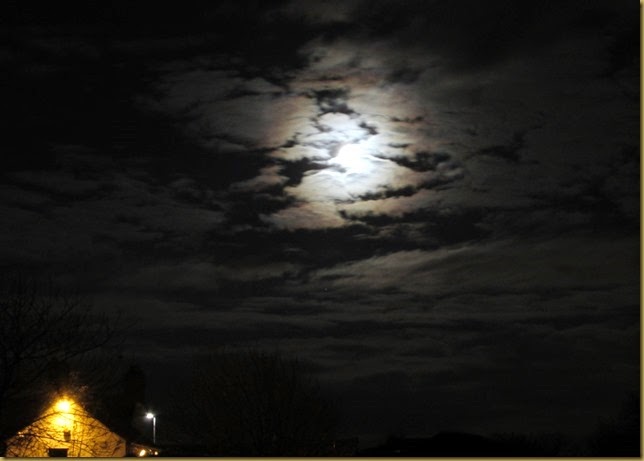 IMG_4072 IMG_4072