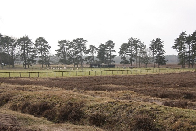 schaapskooi schaapskooi
