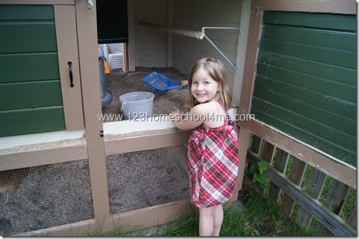 Cleaning out the Chicken Coop with Scoop Cleaning out the Chicken Coop with Scoop