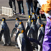 hokkaido_343.jpg