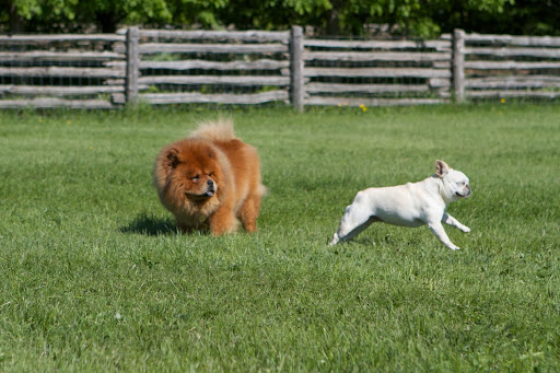 Come on, G.K. - I want in on this action.