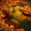 creek013sh.JPG