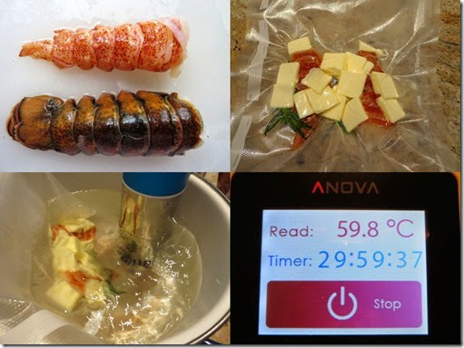 Lobster Sous vide composit