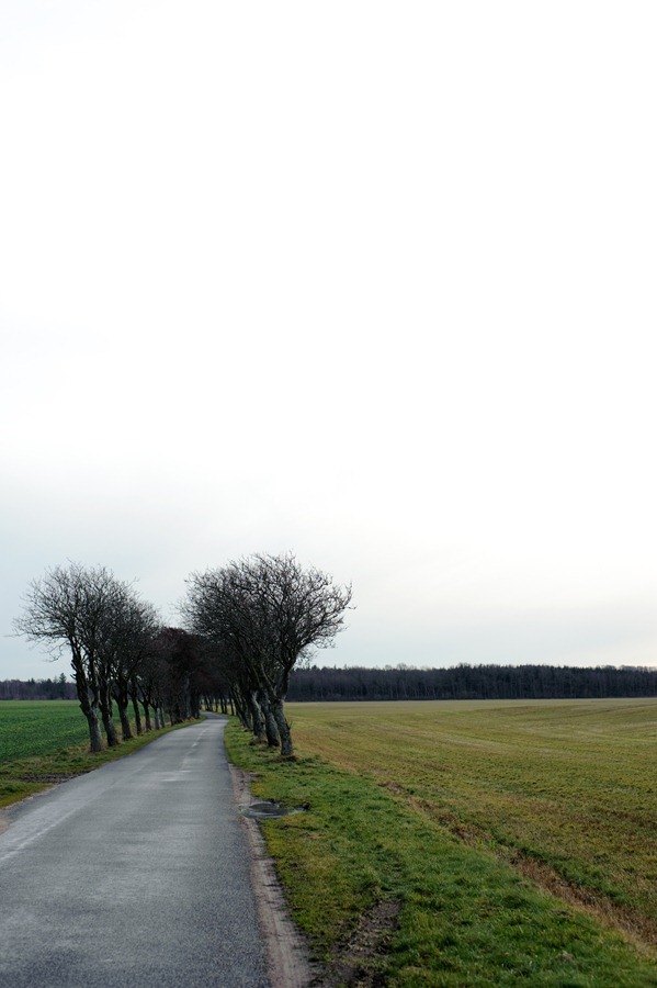 [DSC_7118%255B2%255D.jpg]