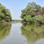 IMG_7765.JPG