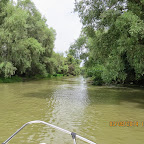 IMG_5196.JPG