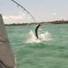 IMG_3602.JPG IMG_3602.JPG