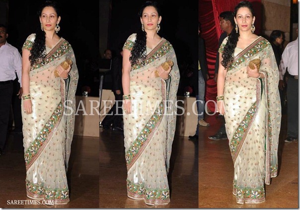 Manyata_Dutt_Embroidery_Shimmer_Saree