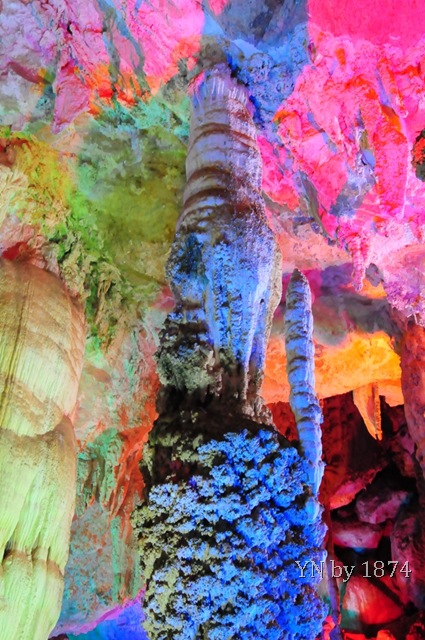 [DSC_5449%255B14%255D.jpg]