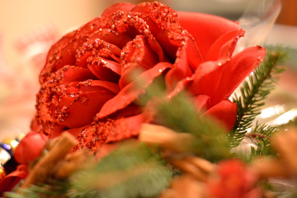 [DSC_0027%255B4%255D.jpg]