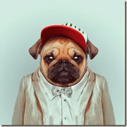 goscarlino goscarlino
